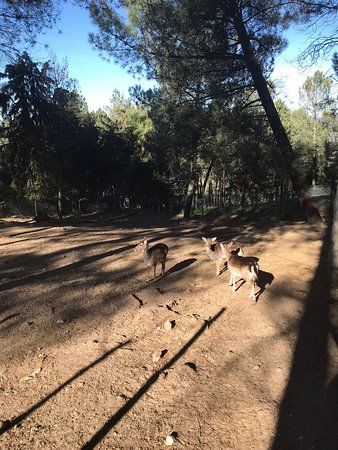 Parque Ecológico De Gouveia