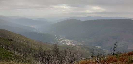 Faias de São Lourenço